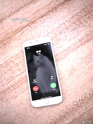 [zerone] 兄弟竟然拜託我照顧他的妻女 6_072