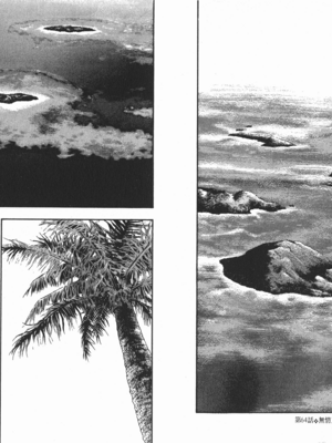 軍鶏vol.07色情片段_010