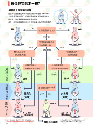 [ねこあらし (也な)] ふたなり、ってナニ？ [肥鸡个人重嵌] [無修正] [DL版]_09