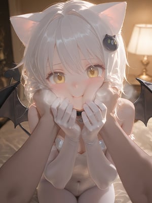 NFFA-塔城小猫
