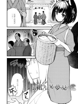 [びんせん] 百紀夜交 [DL版]_030