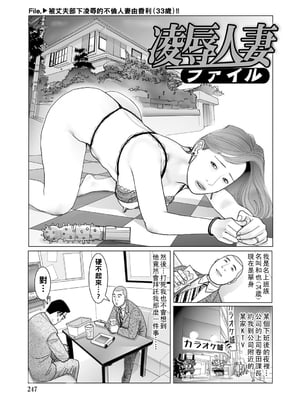 [下山ギルコ] 陵辱人妻ファイル：FILE.6