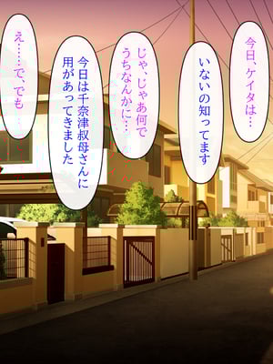 (同人CG集) [クリスタルマーメイド] 人妻叔母が甥っ子に寝取られるまでの話_052