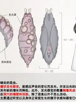 [Gura Craft] 蟲研究レポート_ Character profile+No.01-25,27_052