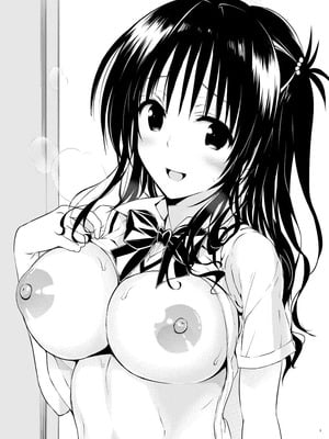 (C96) [サムライ忍者GREENTEA] 美柑、妹、X6歳。III (To LOVEる -とらぶる-) [中国翻訳]_02