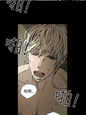 ACE：禁斷的詐欺之夜 1+2季[完結]_1013012