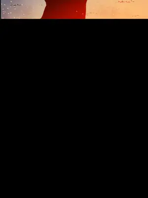 ACE：禁斷的詐欺之夜 1+2季[完結]_2035019