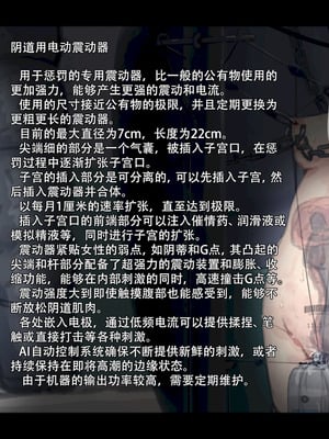 [ゆきまる屋 (ゆきむら丸)] 公有物少女3.5～国から人権を剥奪され物として扱われる女の子の話〜特別厳重懲罰番外編 [中国翻訳]_055_jtdm