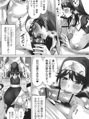 (成年コミック) [えれ2エアロ] 淫女アクメ紀行_P007