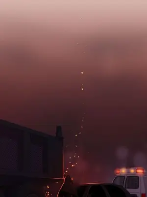 del_1005017