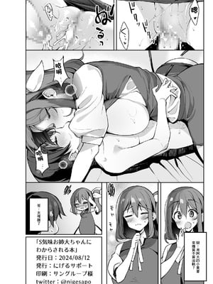 [にげるサポート (にげサポ)] S気味お姉大ちゃんにわからされる本 (東方Project) [中国翻訳] [DL版]_21