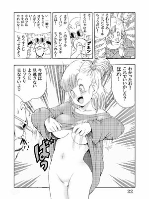 [モンキーズ (ヤングじじい)] エピソードオブブルマフルリメイクバージョン (ドラゴンボール) [DL版]_23_rhjd