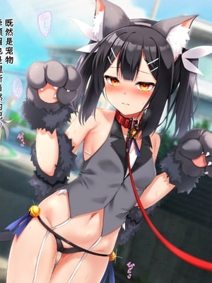 [ふうりん亭 (冬蟲夏草)] ミユちゃんがセンセイの肉ットになる話 はっぴーえんど編 (Fatekaleid liner プリズマ☆イリヤ)[中国翻訳][个人机翻]_096_miyu_pt_se_004