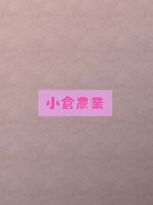 [小倉農業 (しいにゃん)] ねぇねぇ弟くんっ!お姉ちゃんにする？お姉ちゃんにする？それとも・・・お・ね・え・ちゃ・ん？ (プリンセスコネクト!Re：Dive) [中国翻訳] [DL版]_22_cqsg