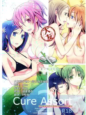 (C86) [434 Not Found (isya)] Cure Assort 2 (ドキドキ!プリキュア、スイートプリキュア♪、スマイルプリキュア!) [大友同好會X一青二白汉化组]
