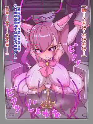 [チンプラ] 正義のヒロイン洗脳調教～人造魔法少女エクレールvs狂科学者 [中国翻訳]_11_wpeh