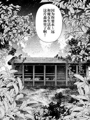 [プリンを食べるお馬さん]きみの光に毒されて ―魔女は愛を手放さない― [中国翻訳]_44_hlhh