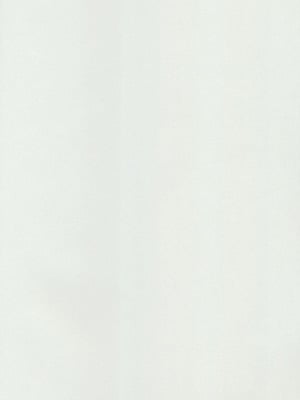 (C105) [福のれん (ユキヲ)] 邪神ちゃんドロップキック チャーリーのプライベートビーチ編 (邪神ちゃんドロップキック) [中文翻译]_19
