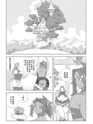 (ふたけっと34) [サンゲリ屋 (左利き)] 魔女とおかしら [廉价汉化组]_09