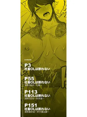 [しょむ] 社畜OLは調教を断れない [BLUE氪个人翻译] [DL版]_003