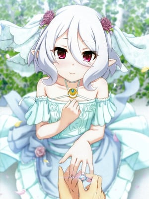 (C105) [MIDDLY (みどりのちや)] カラフルコネクト 11th：Dive (プリンセスコネクト!Re：Dive)_31
