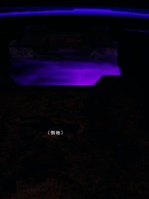 [我健身你瑜伽]真混沌之子17_066
