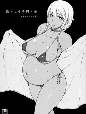 (C101) [だらぶち堂 (だらぶち)] 摘マレタ異国ノ華 設定・没ページ集｜被摘取的異國之花 設定・棄用分頁集 [LibraX个人漢化]_02