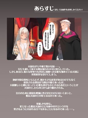 (C106) [WASABI (本条たたみ)] 続属國姫 (オリジナル) [DL版]_03
