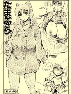(C81) [沙悟荘 (瀬浦沙悟)] たまぶら (トゥハート2) [不咕鸟汉化组]