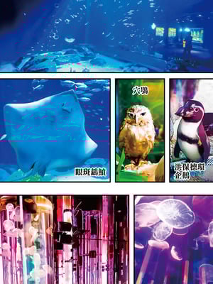 [STUDIOふあん (来鈍)] 飯犯トラベラーズ 沖縄集団レイプ済 ハーレムひとり旅編｜吃飯兼炒飯的旅者們 沖繩集體●姦後 後宮單人之旅篇 [中国翻訳] [DL版]_192
