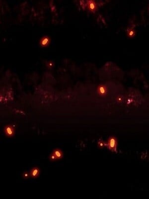 偷窺俱樂部 1-21話[完結]_011480