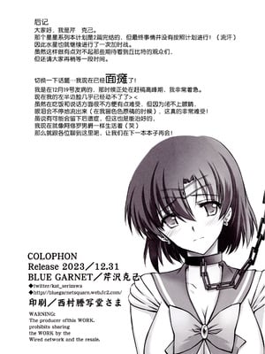 [ブルーガーネット (芹沢克己)]その星は汚されて 1~6(美少女戦士セーラームーン)[中国翻訳][光阴个人汉化、魔法汉化组]_063