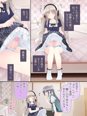 [空色にゃんにゃん (片瀬蒼子)] ヒミツのふたなり治療法_007