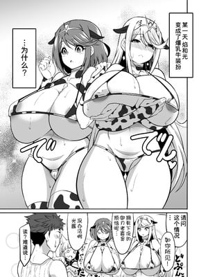 [白い闇 (k-you)] WHITE DROP (ゼノブレイド2) [甜族星人x我不看本子汉化] [DL版]_03