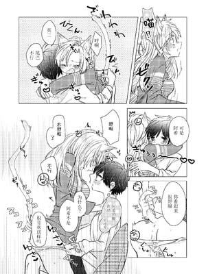 (幸福の在り処3) [Azul (林檎)] MY SWEET SWEET CATGIRL!! (BANANA FISH) [DL版] [月光石汉化组]_11