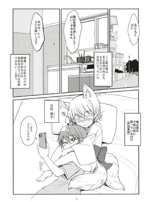 (C106) [端末異常 (BadHanD)] 白狐の杜其の拾肆 [DL版]_03