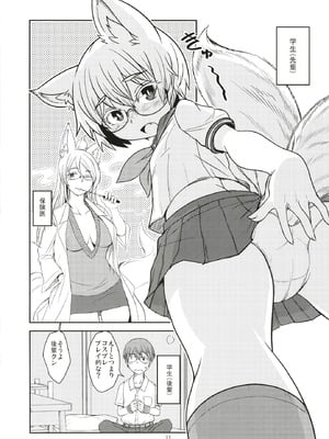 (C106) [端末異常 (BadHanD)] 白狐の杜其の拾肆 [DL版]_11