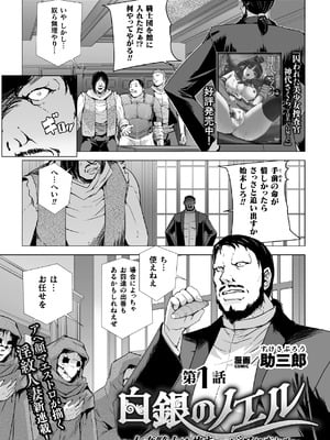 白銀のノエル ～人妻騎士はサキュバスに変わる～