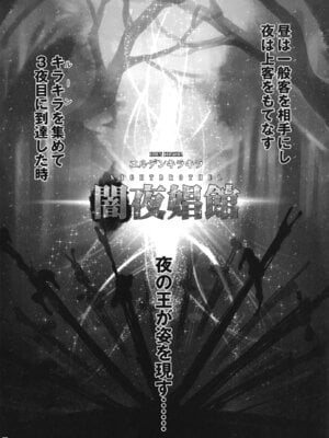 [三色坊 (黒青郎君)] エルデンキラキラ：闇夜娼館 (エルデンリング ナイトレイン) [DL版]_03