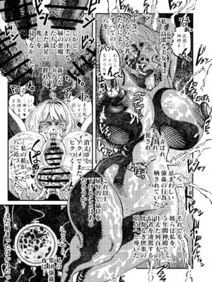 [ふくめい] 緑珠の記録 豊艶な侍祭の獣欲集団凌辱 (ゴブリンスレイヤー)_20