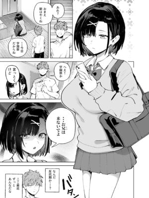 [ソロシメジ (ぶなぴー397円)] 2年C組学園おっぱぶのキャストに妹がいた [DL版]_03