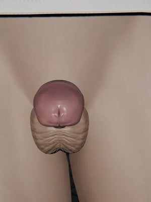 [噜噜鸽] 丝袜女王凌辱调教记_00092