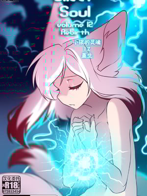 众筹汉化 新桥月白日语社 matemi silver soul 12_1113_001_00