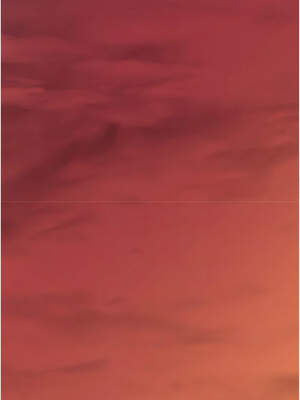 垃圾堆撿到寵物系萌妹 16-17話_16_10_edmy