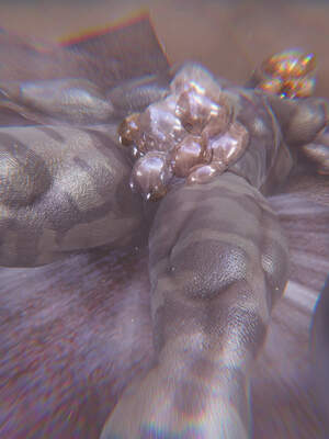 魔法少女外传（six与莉莉丝）_101