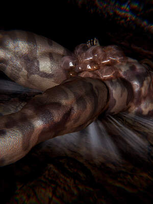 魔法少女外传（six与莉莉丝）_308