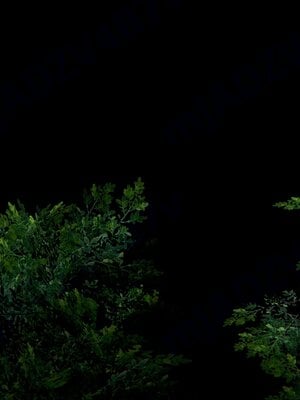 [bagnall] 神谕 第四季 05_078