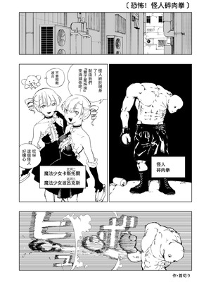 [首切り] 魔法少女シリーズ [Dcliang个人漢化]_12