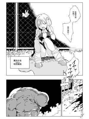 [首切り] 魔法少女シリーズ [Dcliang个人漢化]_20