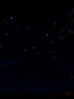 【phloxcc】离幻真玄录01-05_00072